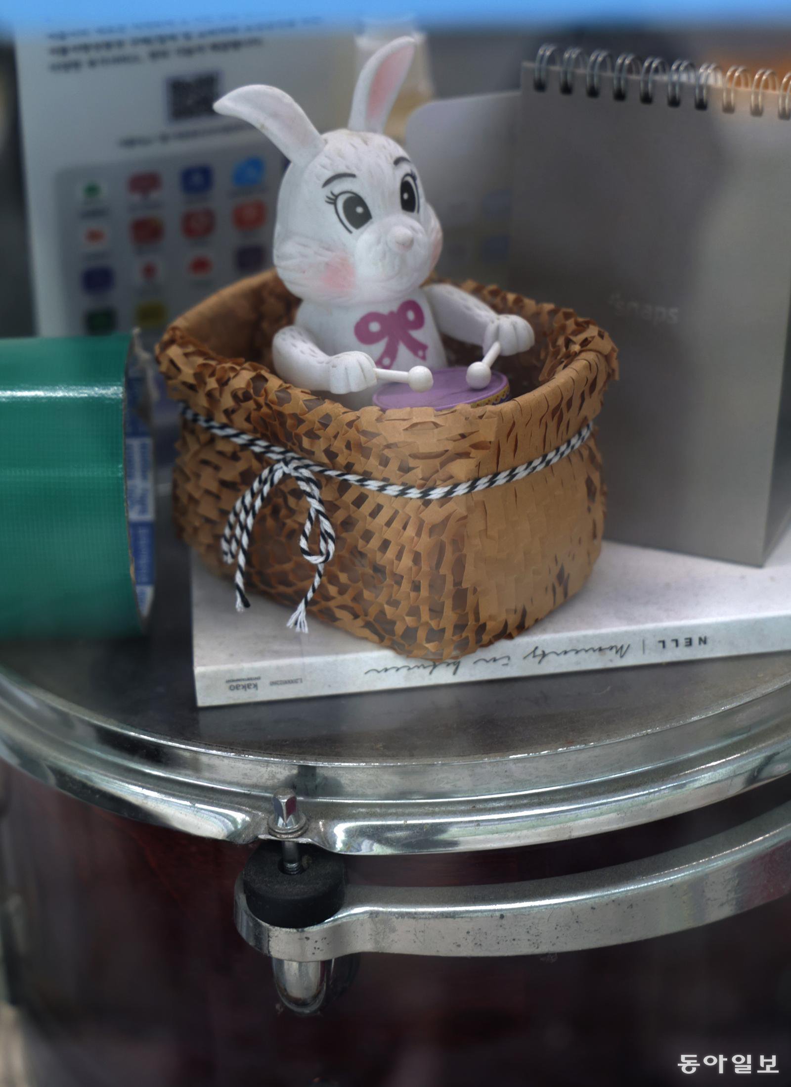 [고양이 눈]일상 속 리듬
