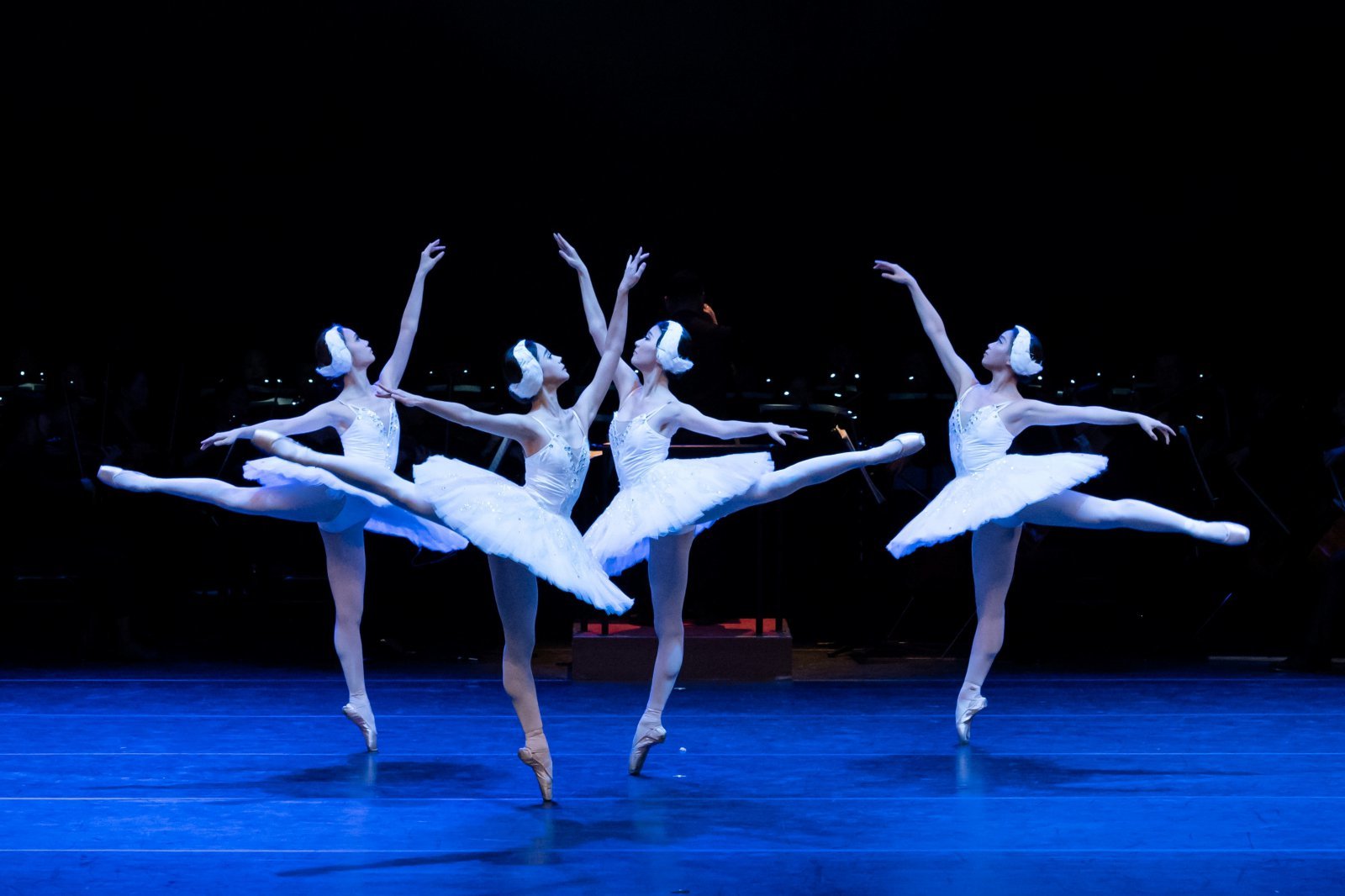 132722212.1.jpg