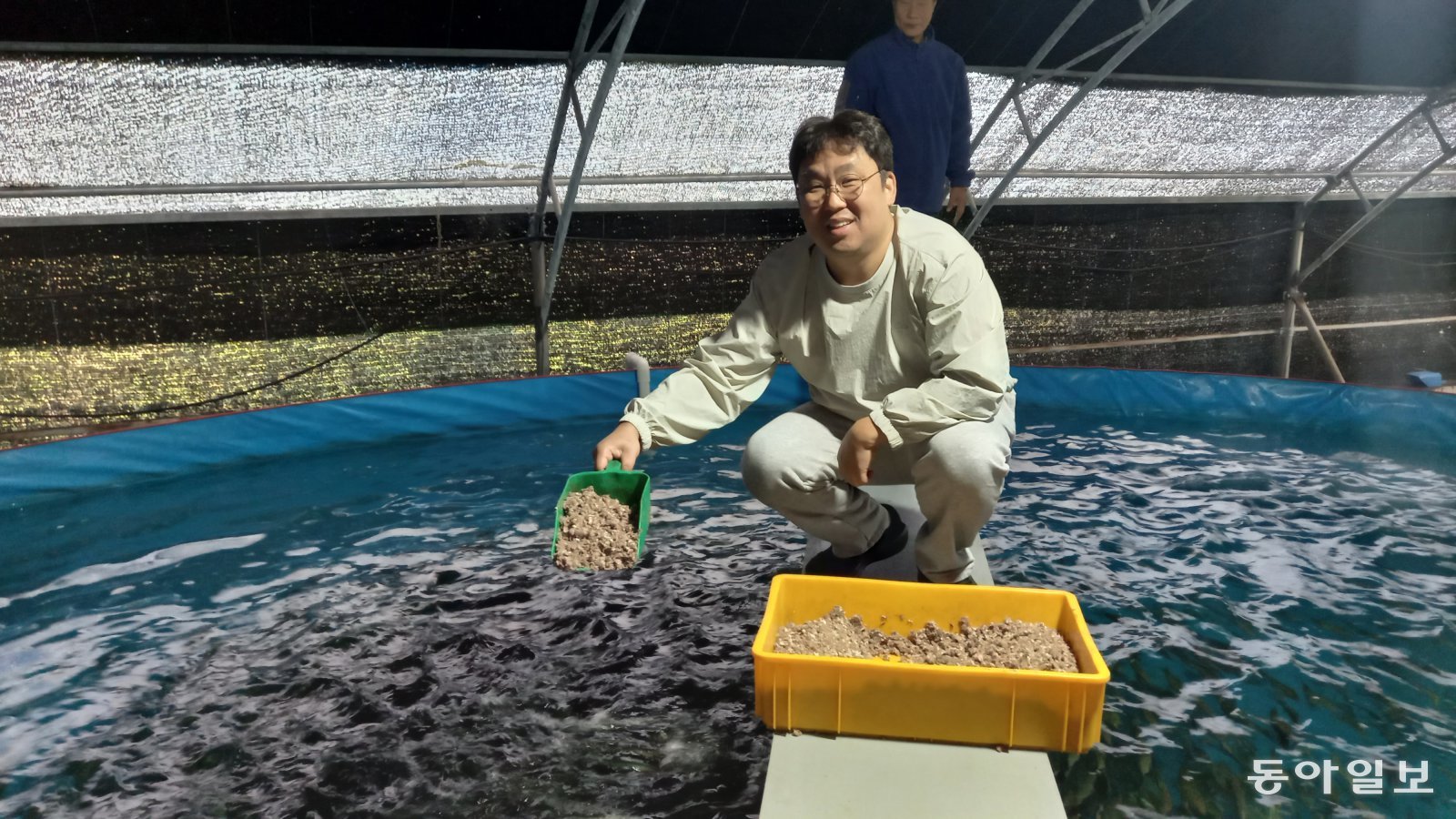 고등어 육상 양식 수조에서 먹이를 주는 유철원 대표. 메가플랜은 알에서 갓 나온 아주 작은 치어부터 성장 단계별로 필요한 먹이도 개발했다. 1개 수조에 2만 마리씩 키우고 있다.