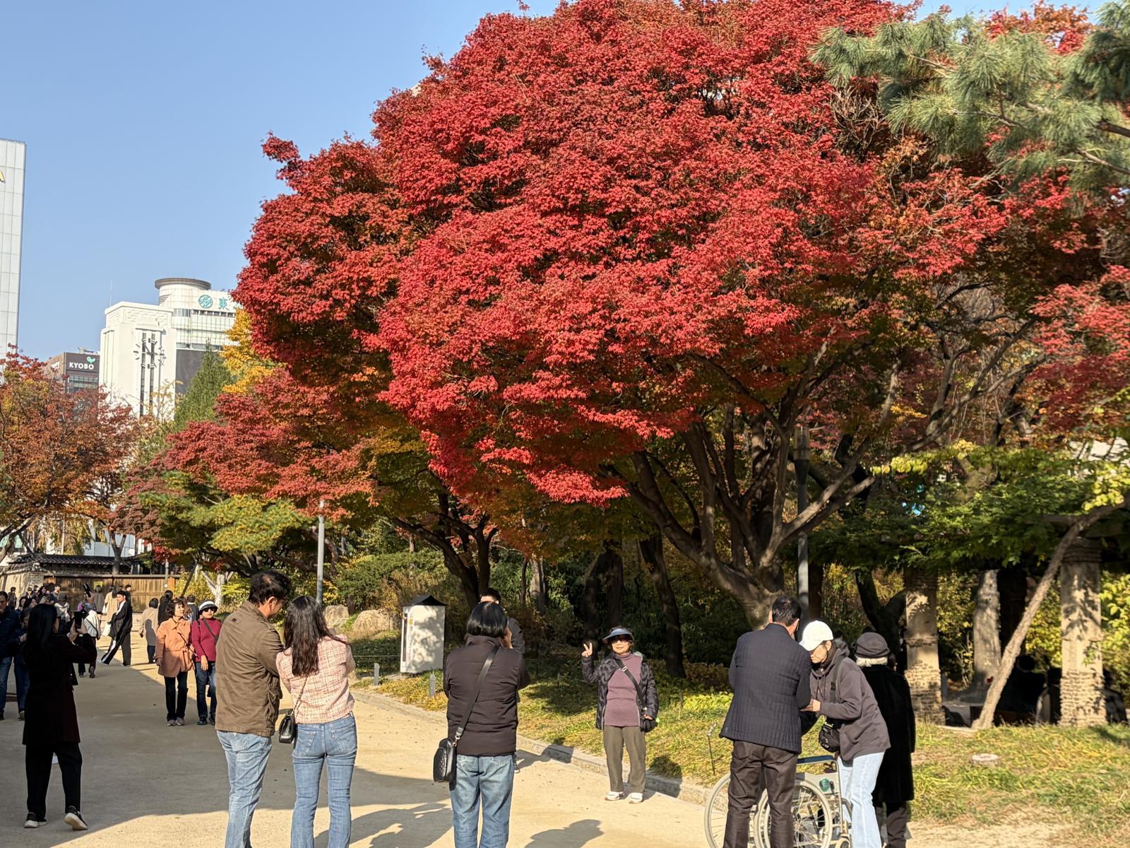 7일 서울 중구 덕수궁에서 시민들이 단풍 사진을 찍고 있다. 뉴스1