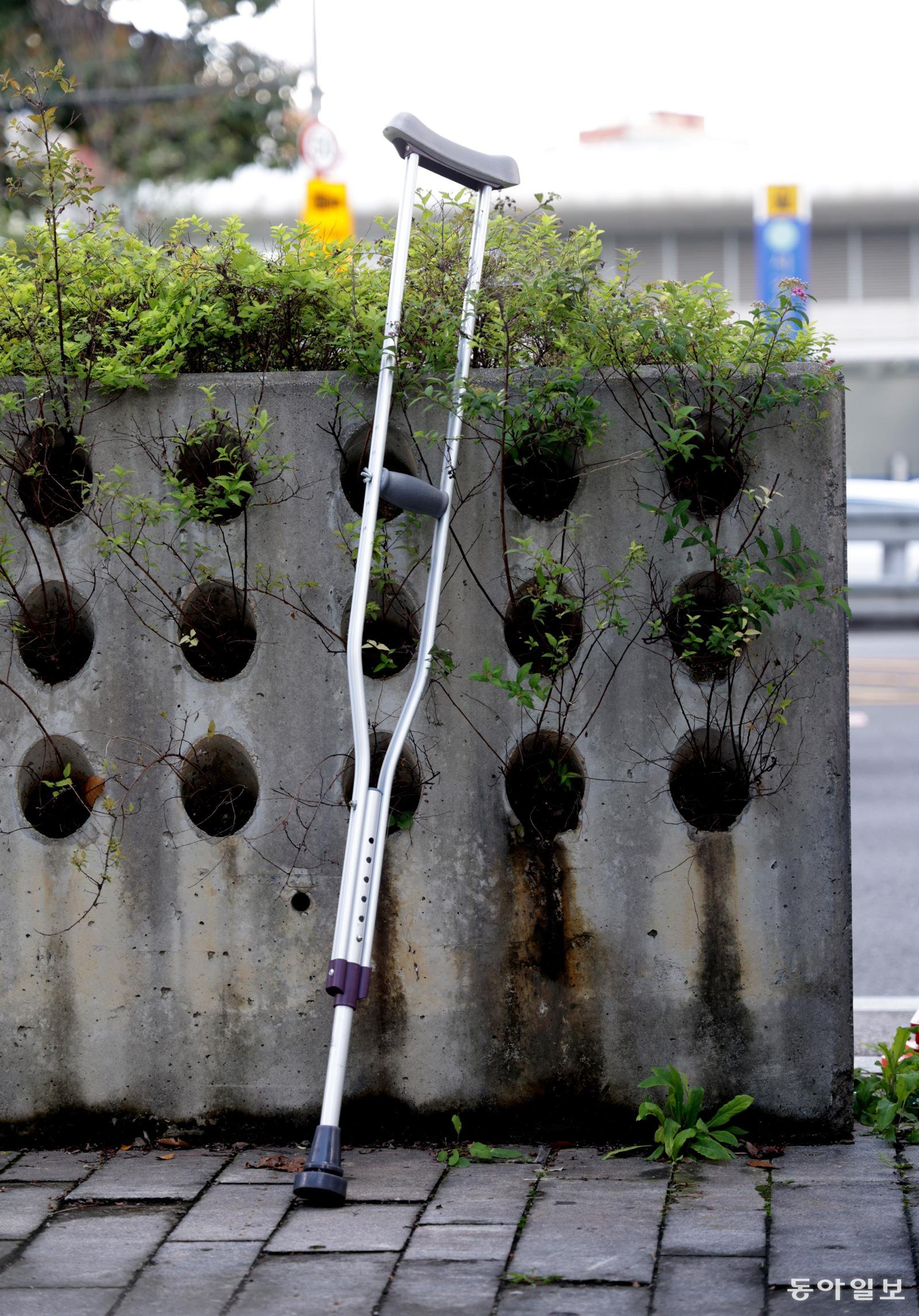 [고양이 눈]회복의 증거