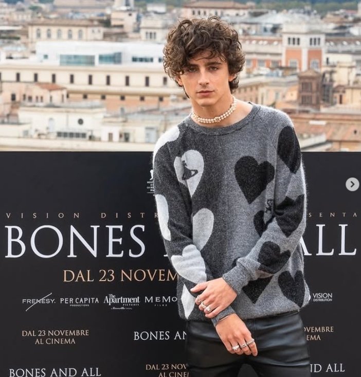 티모시 샬라메의 인터뷰 내용이 팬들에게 질타를 받고 있다. 출처=인스타그램