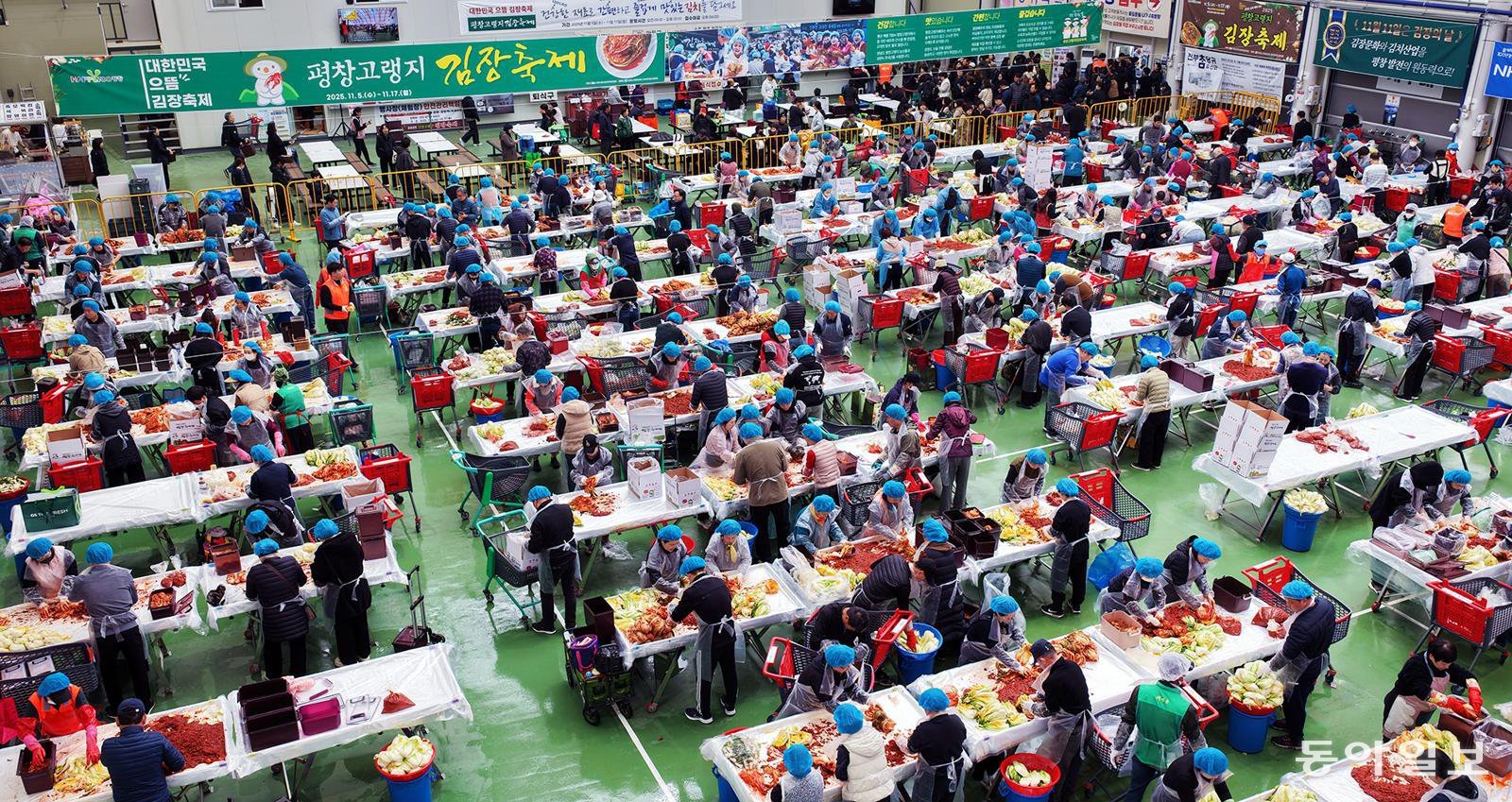 9일 강원 평창군 진부면민체육공원에서 개막한 ‘제8회 평창고랭지김장축제’에 참가한 김장객들이 김장 체험장을 가득 메우고 있다. 평창군 제공