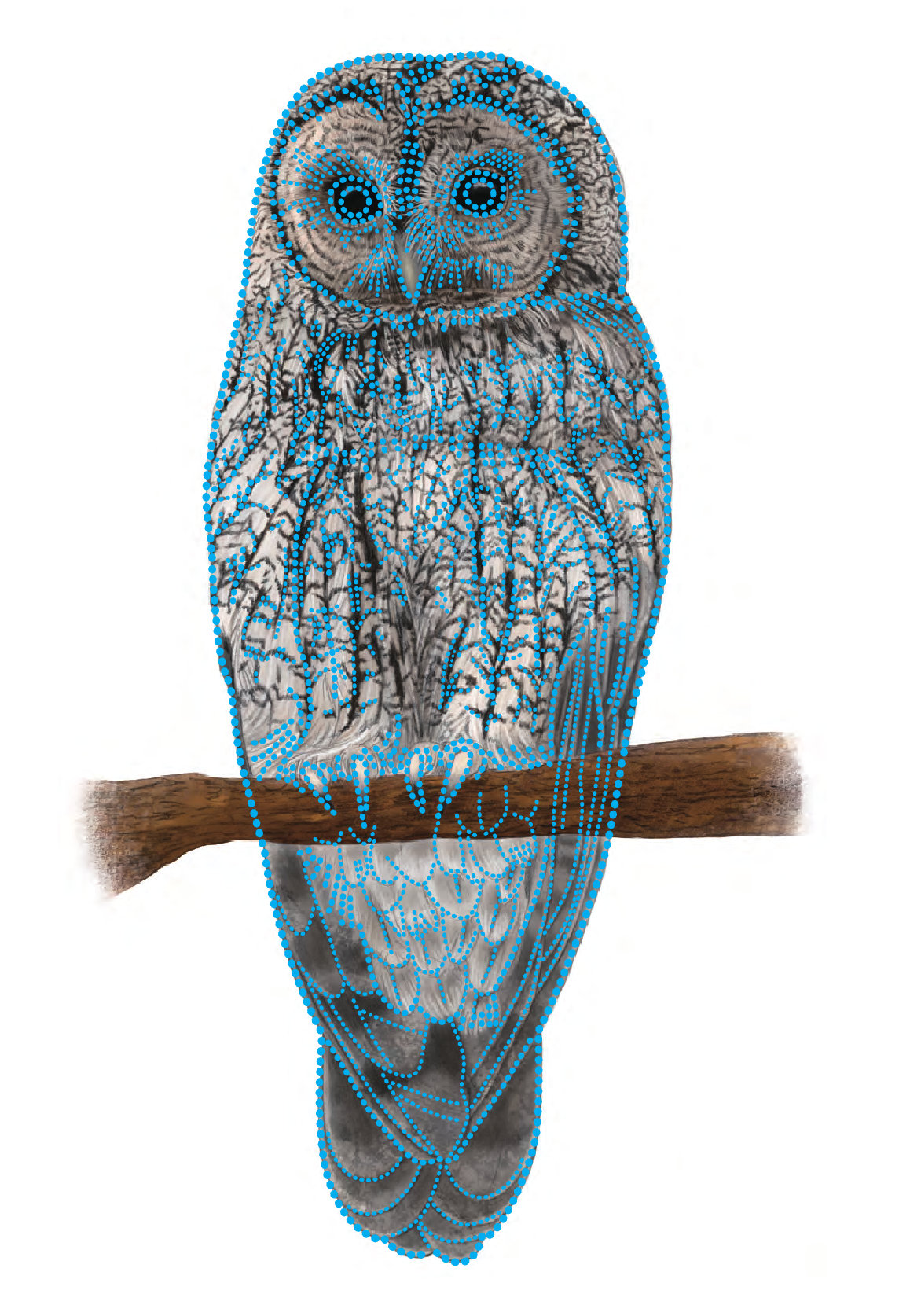 올빼미를 표현한 그림 점자 사진. 국립문화유산연구원은 시각장애인들이 문화유산을 접할 수 있도록 그림 점자 형태로 석굴암과 삽살개, 다보탑 등 문화유산과 천연기념물을 촉각 교구 및 점자책으로 만들어 배포하고 있다. 사진 출처 국립문화유산연구원