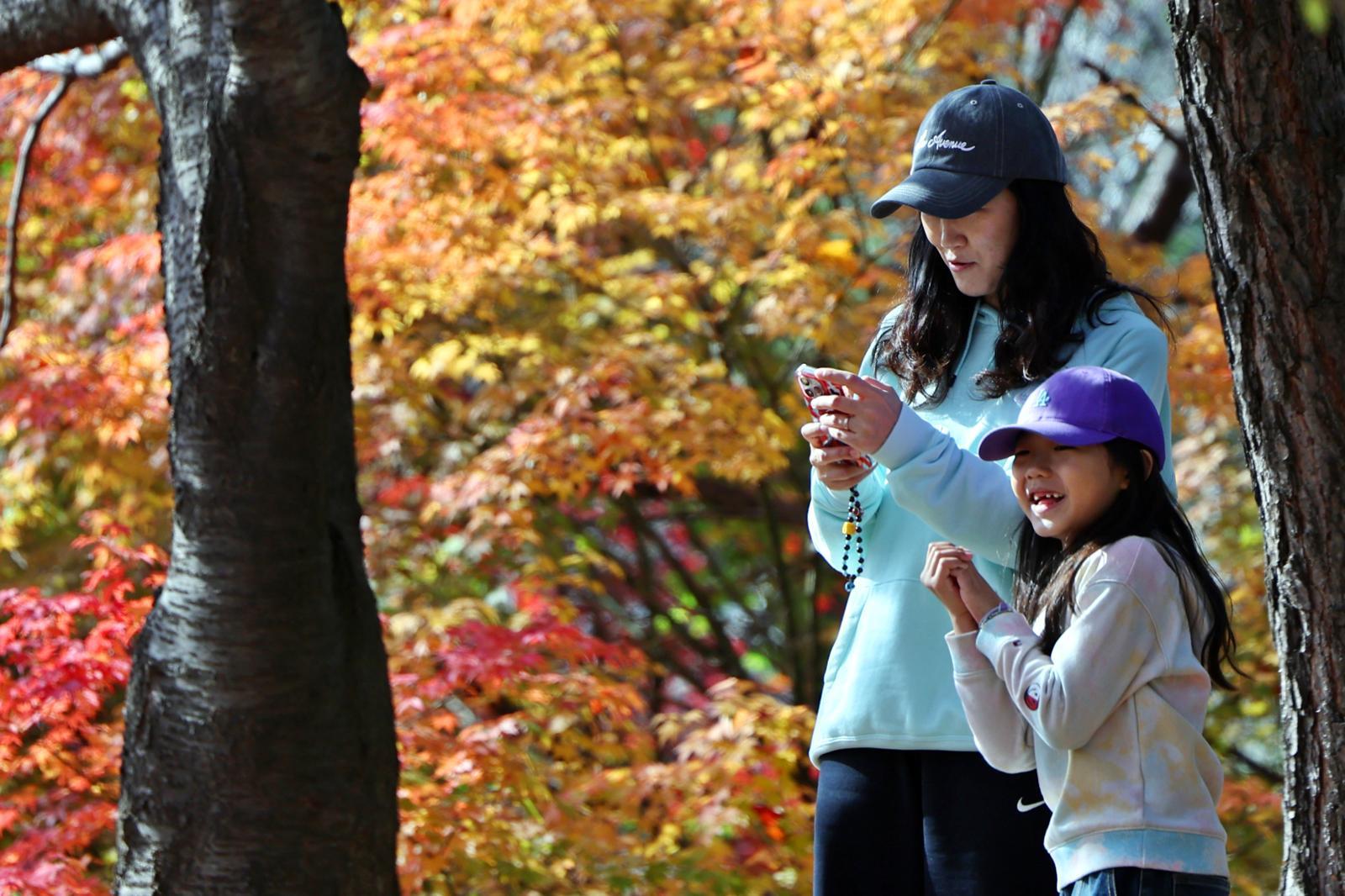 온화한 가을 날씨를 보인 9일 오후 서울 종로구 인왕산 등산로에서 시민들이 단풍과 함께 즐거운 시간을 보내고 있다. 2025.11.9 뉴스1
