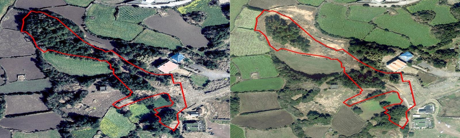 제주시 소재 도 지정문화유산 인근 산림 6000여 ㎡의 2022년 모습(왼쪽)과 2024년 무단 훼손된 후 모습. 제주도자치경찰단 제공