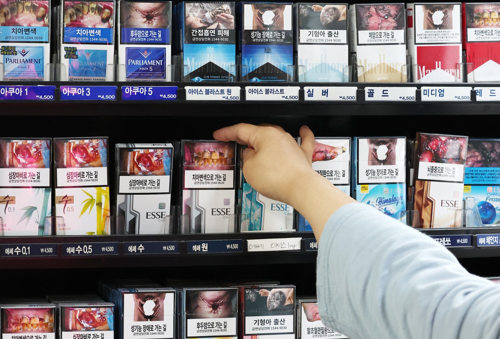 서울의 한 마트에 담배가 진열돼 있다. /뉴스1