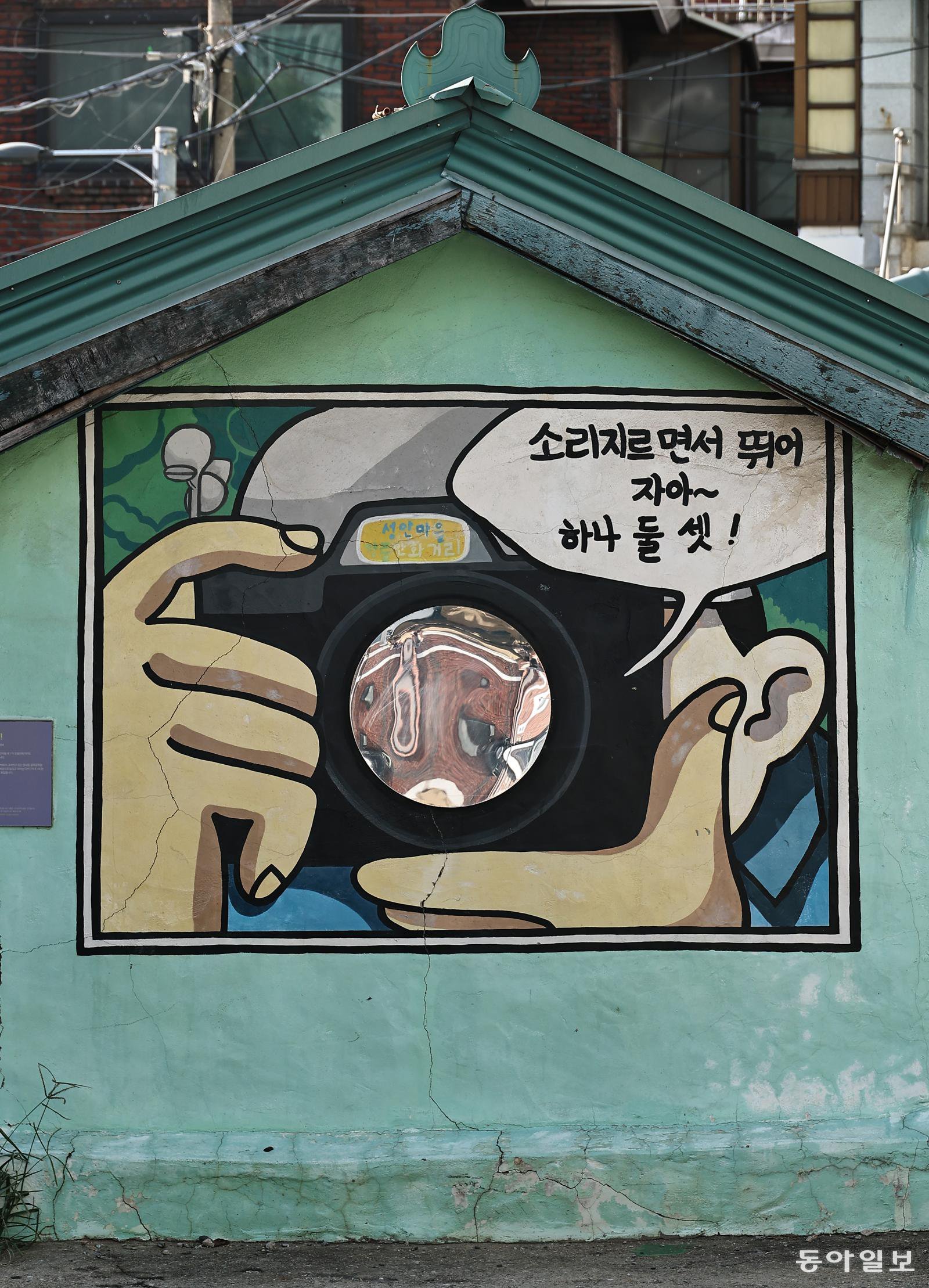 [고양이 눈]고생 끝, 웃음 시작
