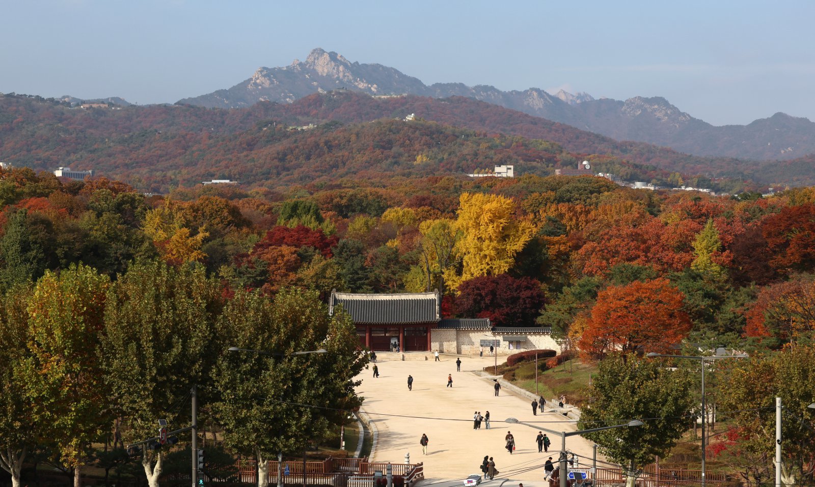11일 오후 서울 종로구 종묘 주변이 울긋불긋 단풍으로 물들어 있다. 2025.11.11 서울=뉴시스