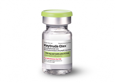머크(MSD) 키트루다 큐렉스