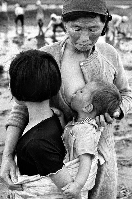 봄- 농번기, 전북 고창1974년