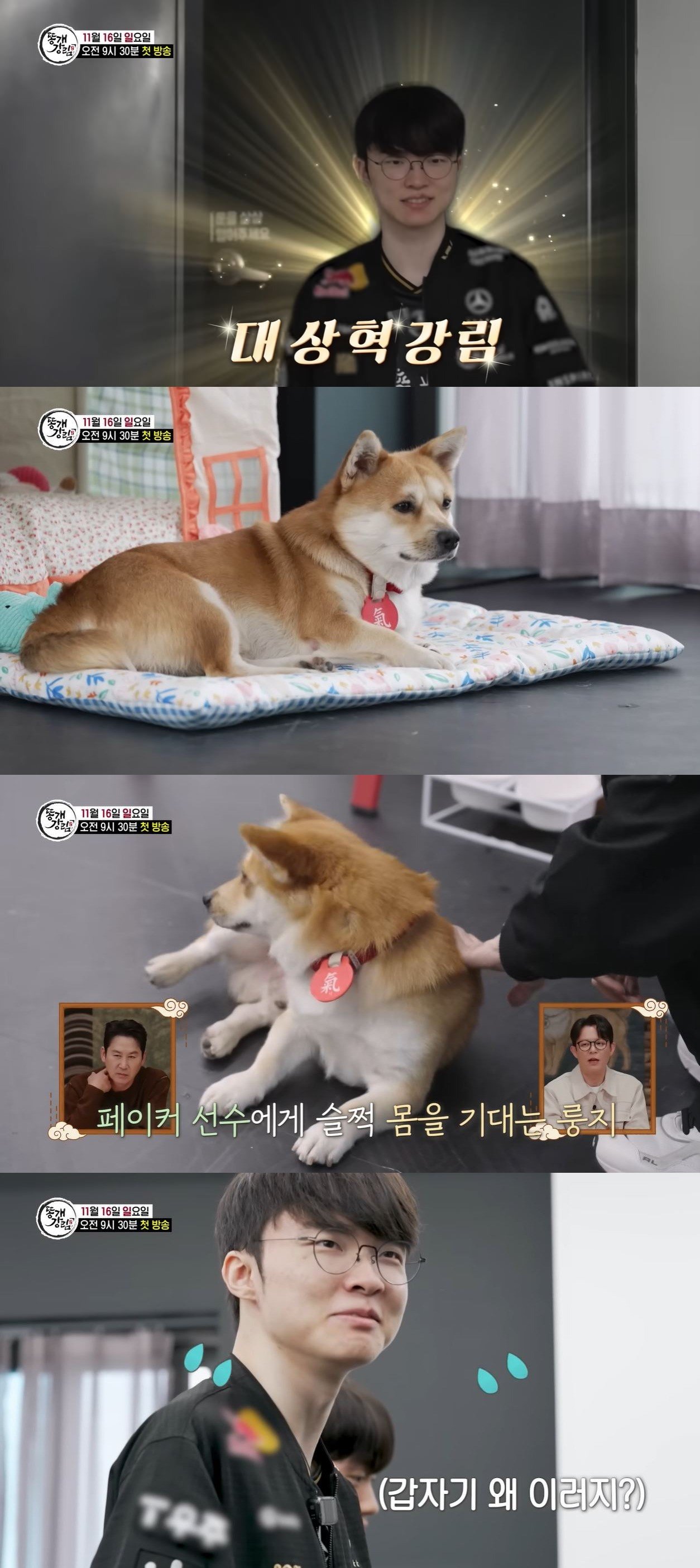 SBS ‘TV 동물농장’