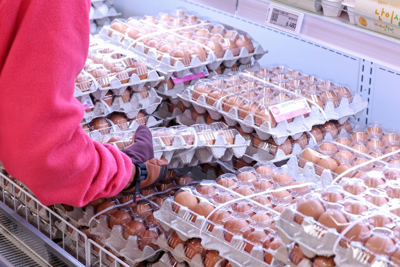 서울의 한 대형마트에서 시민들이 달걀을 구입하고 있다. 2025.1.23/뉴스1