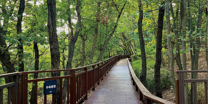 서리풀공원의 무장애숲길 연결로. 서초구 제공