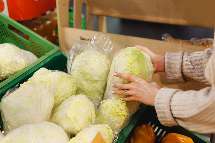 김장철 배추 선택의 핵심은 겉잎·속잎의 신선도와 속이 적당히 찬 정도다. 줄기·잎 비율 3:2의 균형 잡힌 ‘H형’ 배추가 가장 좋은 김장용 배추로 꼽힌다. 사진=게티이미지뱅크.