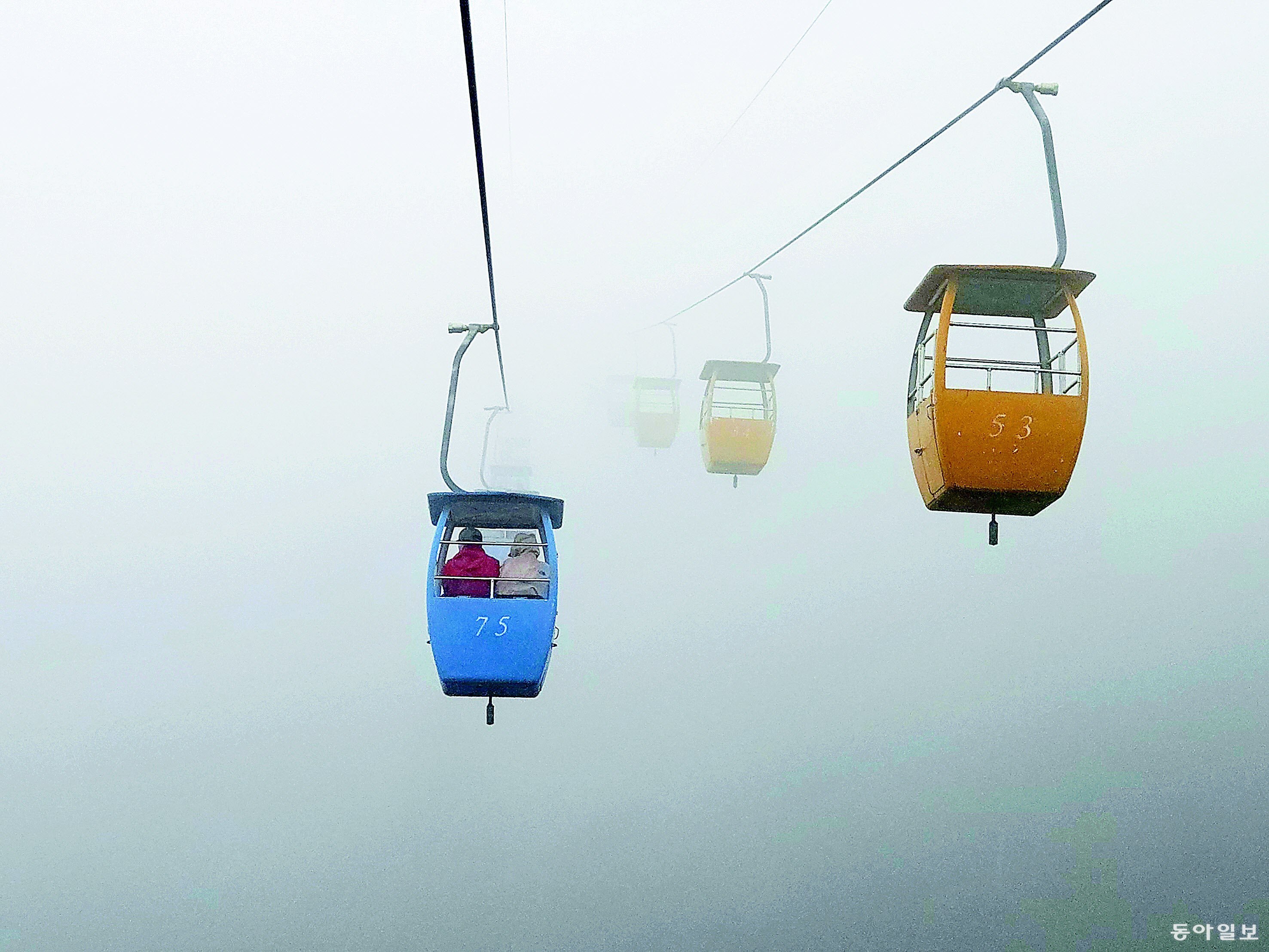 [포토에세이]안개 속으로