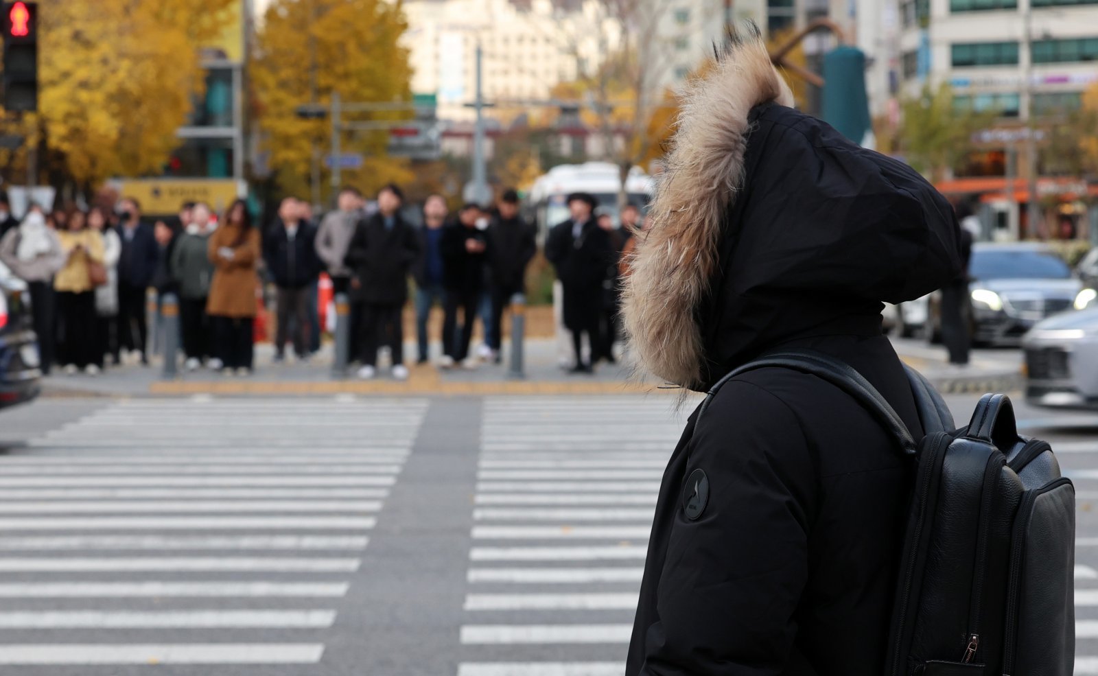 북쪽에서 찬 공기가 유입되면서 기온이 큰 폭으로 내려간 17일 오전 서울 종로구 광화문 네거리에서 두꺼운 옷을 입은 시민이 신호를 기다리고 있다. 2025.11.17. [서울=뉴시스]