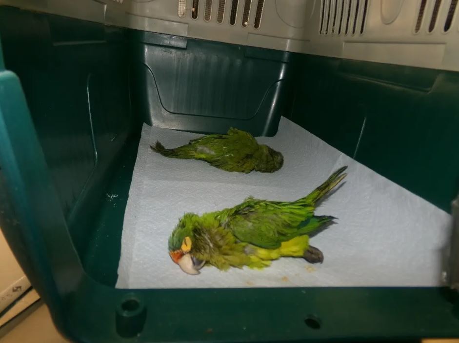 사진=뉴욕포스트