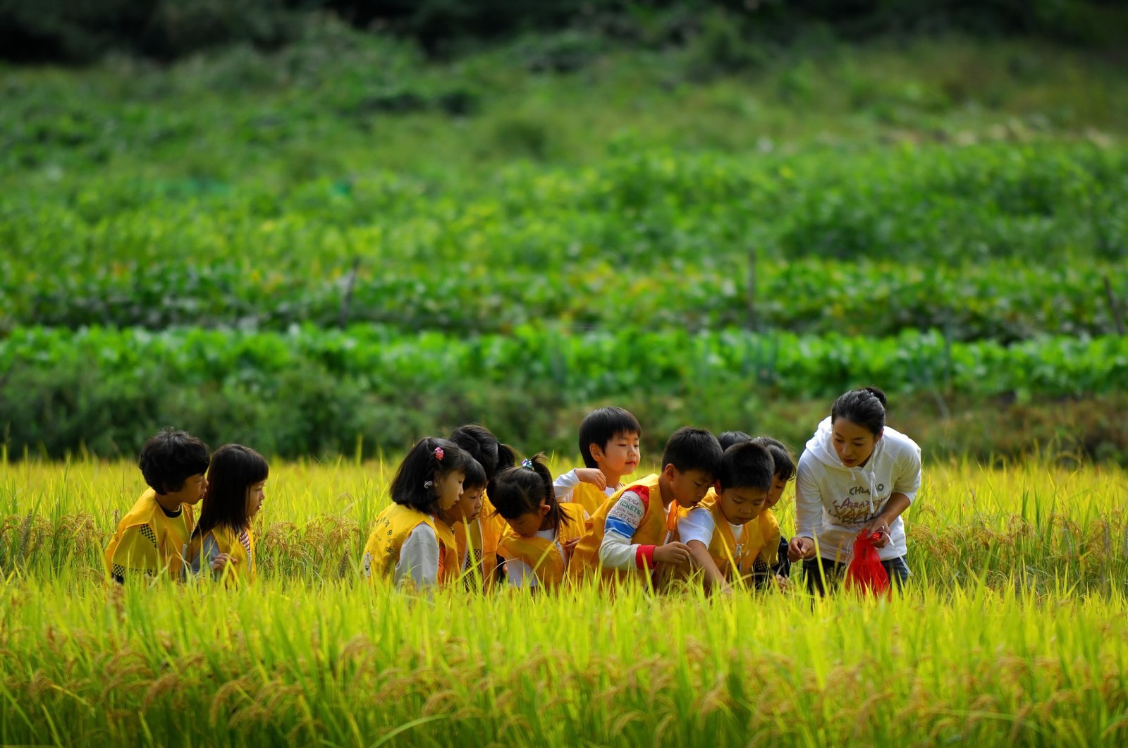 농협이 지자체와 업무협약을 맺고 농촌여행 신사업을 본격 추진한다.