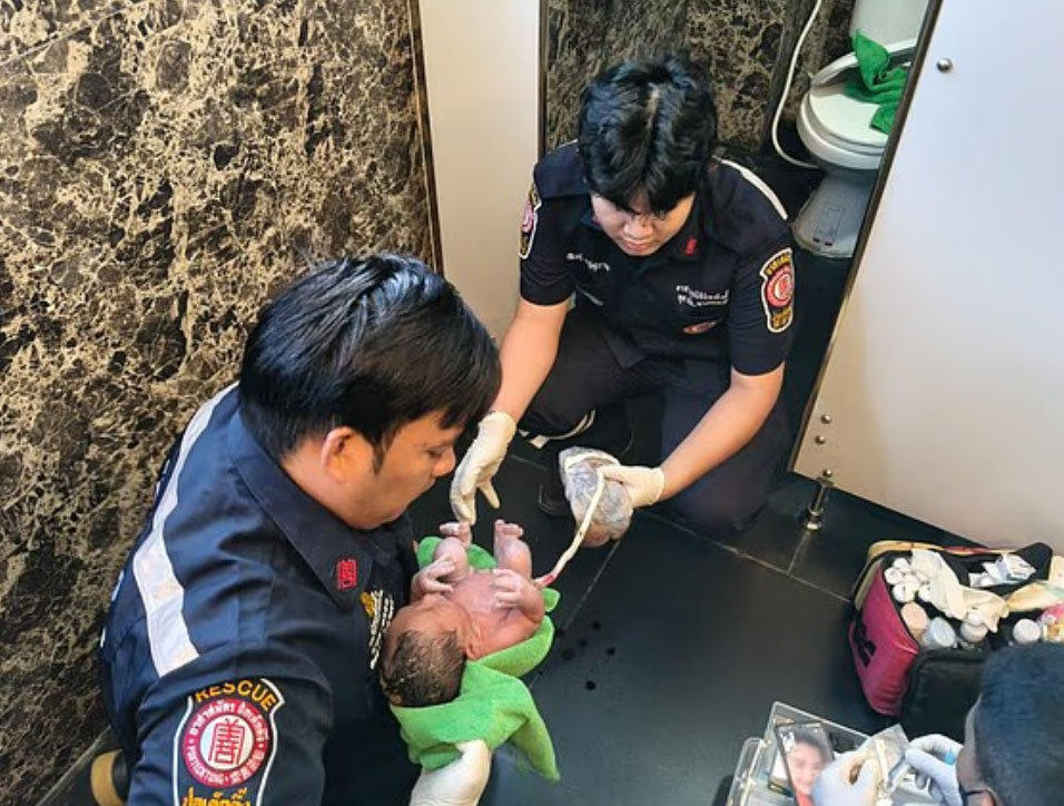 데일리메일 갈무리