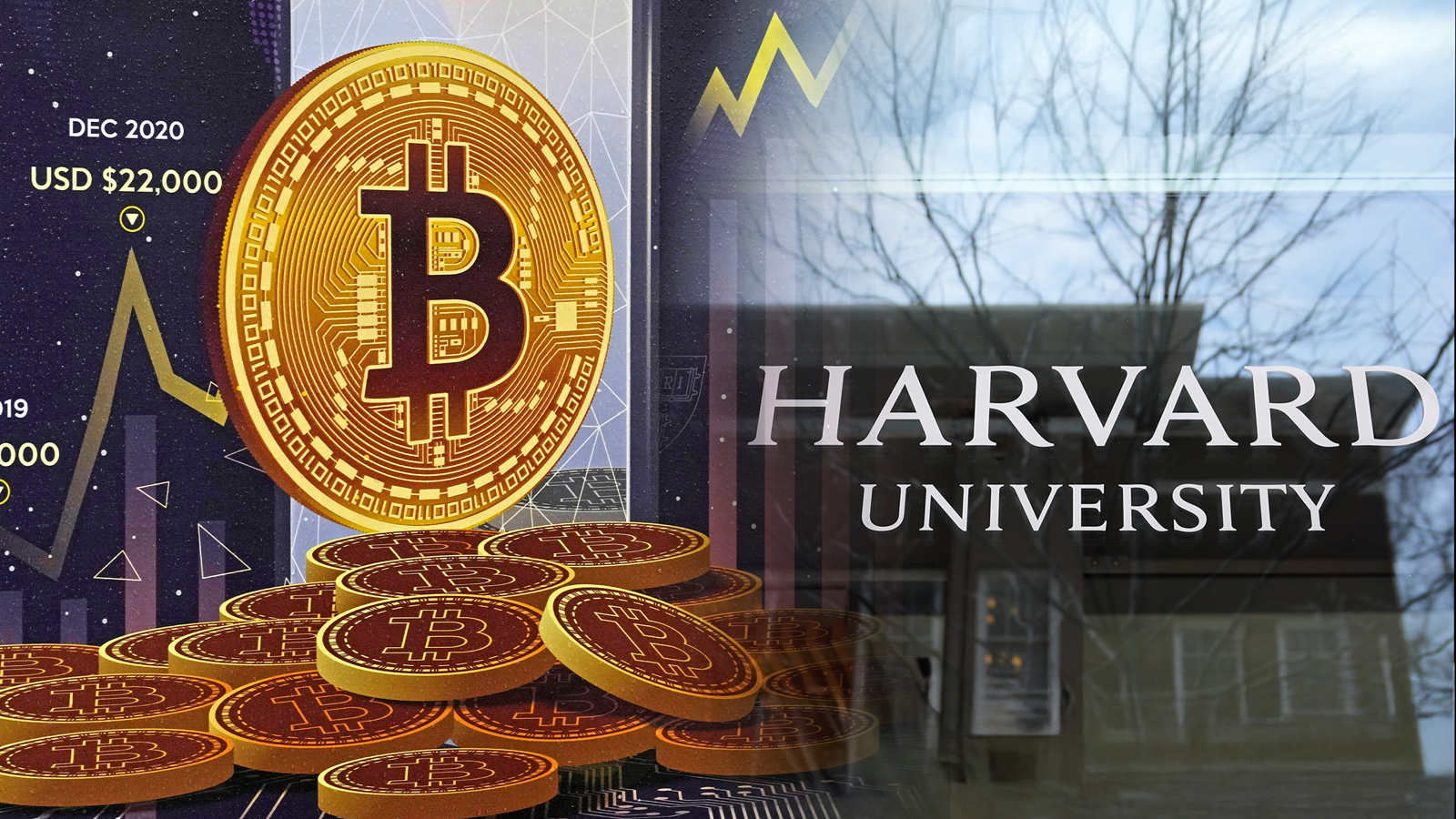 하버드·브라운 등 ‘아이비리그’로 불리는 미국 명문대 기금이 수백억~수천억 규모로 현물 비트코인 ETF를 편입하며 전통 포트폴리오 진입이 본격화됐다. AP/뉴시스