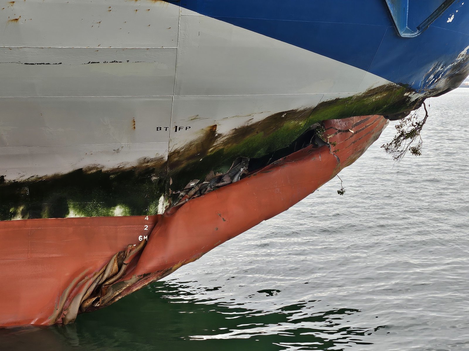 19일 오후 8시 17분쯤 전남 신안 무인도에 좌초된 여객선 퀸제누비아2호가 목포항으로 입항했다. 사진은 무인도와 충격한 퀸제누비아2호의 하단. 2025.11.20/뉴스1