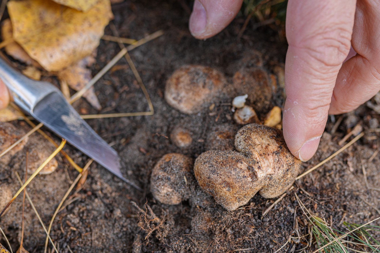 이해를 돕기 위한 사진. 게티이미지뱅크