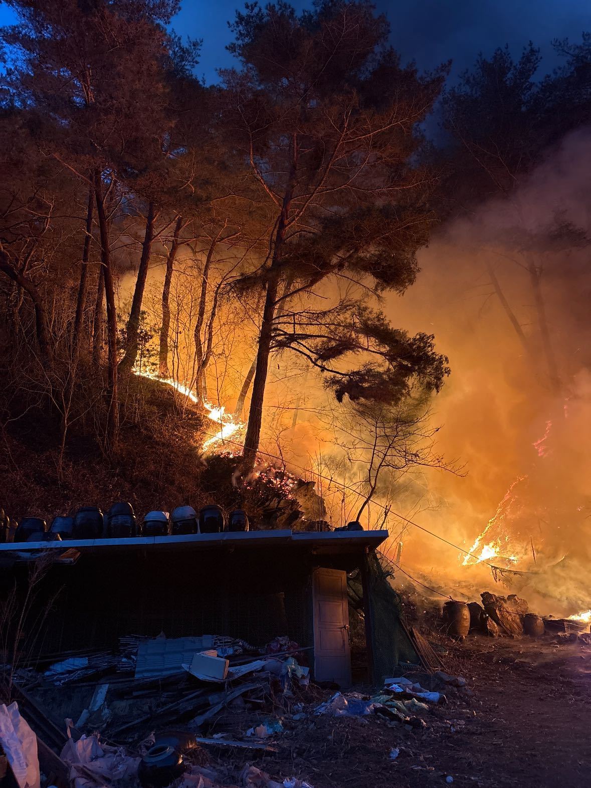 강원 인제 기린면 현리 산불 현장. 강원도소방본부 제공