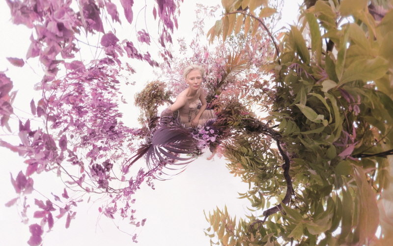 스코틀랜드 출신 여배우 틸다 스윈튼