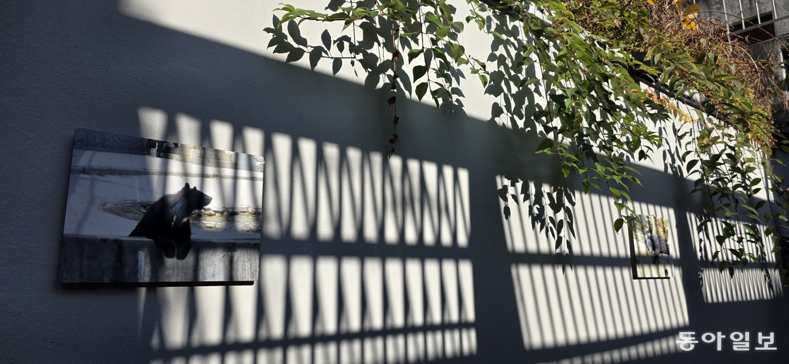 옛 철창이 그림자를 드리우는 전시 공간. 포천=김선미 기자 kimsunmi@donga.com