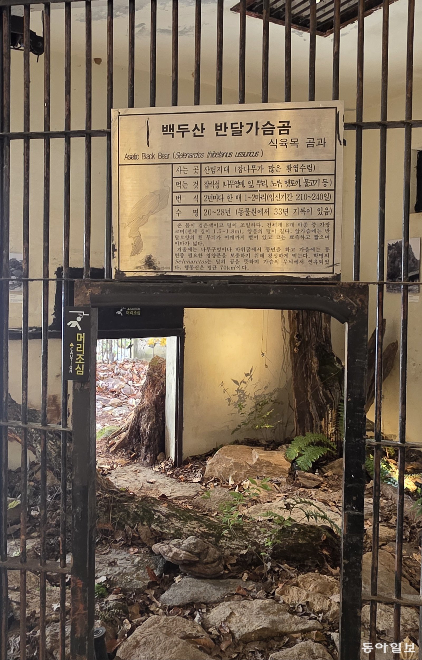 곰이 떠난 자리에 식물이 들어섰다. 포천=김선미 기자 kimsunmi@donga.com