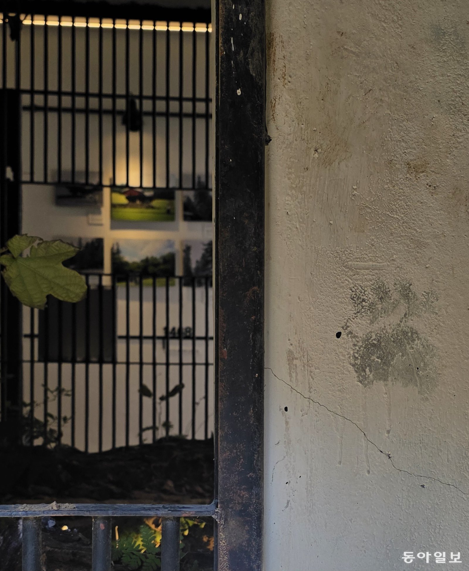 벽면에  곰 발바닥 자국이 남아있다. 포천=김선미 기자 kimsunmi@donga.com