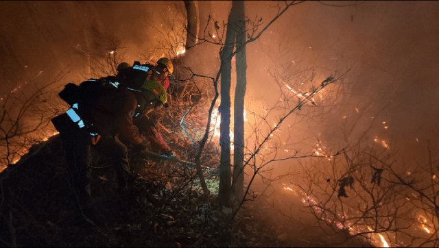 23일 새벽 강원 양양 서면 일대에서 발생한 산불 현장에서 진화대원이 야간 진화 작전을 펼치고 있다. 동부지방산림청 제공.