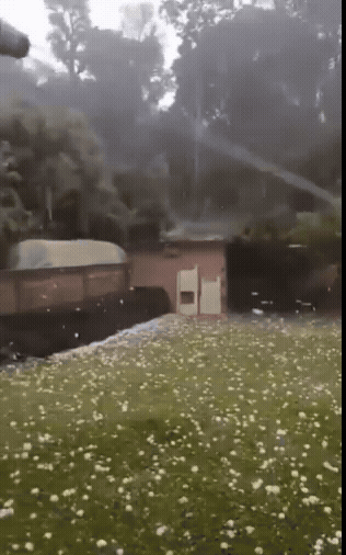 브라질 에레싱을 강타한 초대형 우박 폭풍 영상. X 갈무리