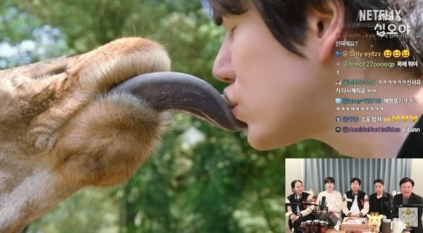 유튜브 채널 ‘채널십오야’ 캡처