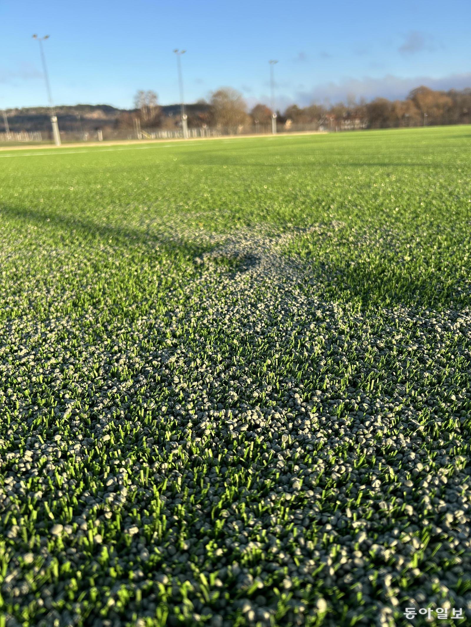 CJ제일제당의 생분해성 바이오 소재 ‘PHA’를 활용해 BIQ가 만든 친환경 인조잔디 충전재가 25일(현지 시간) 스웨덴 예테보리시의 프리오리테트 세르네케 경기장에 깔려 있는 모습. 예테보리=유근형 특파원