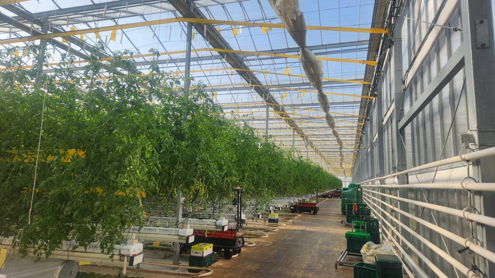 ㈜스마일팜 스마트팜 전경. ㈜스마일팜 제공