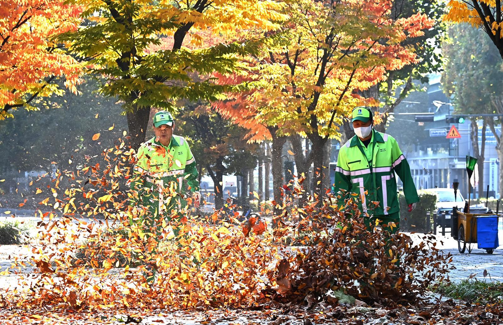 절기상 입동을 이틀 앞둔 5일 경기 수원시 팔달구 인계동 가로수길에서 환경관리원들이 전동 송풍기를 이용해 수북히 쌓인 낙엽을 청소하고 있다. 2025.11.05 [수원=뉴시스]