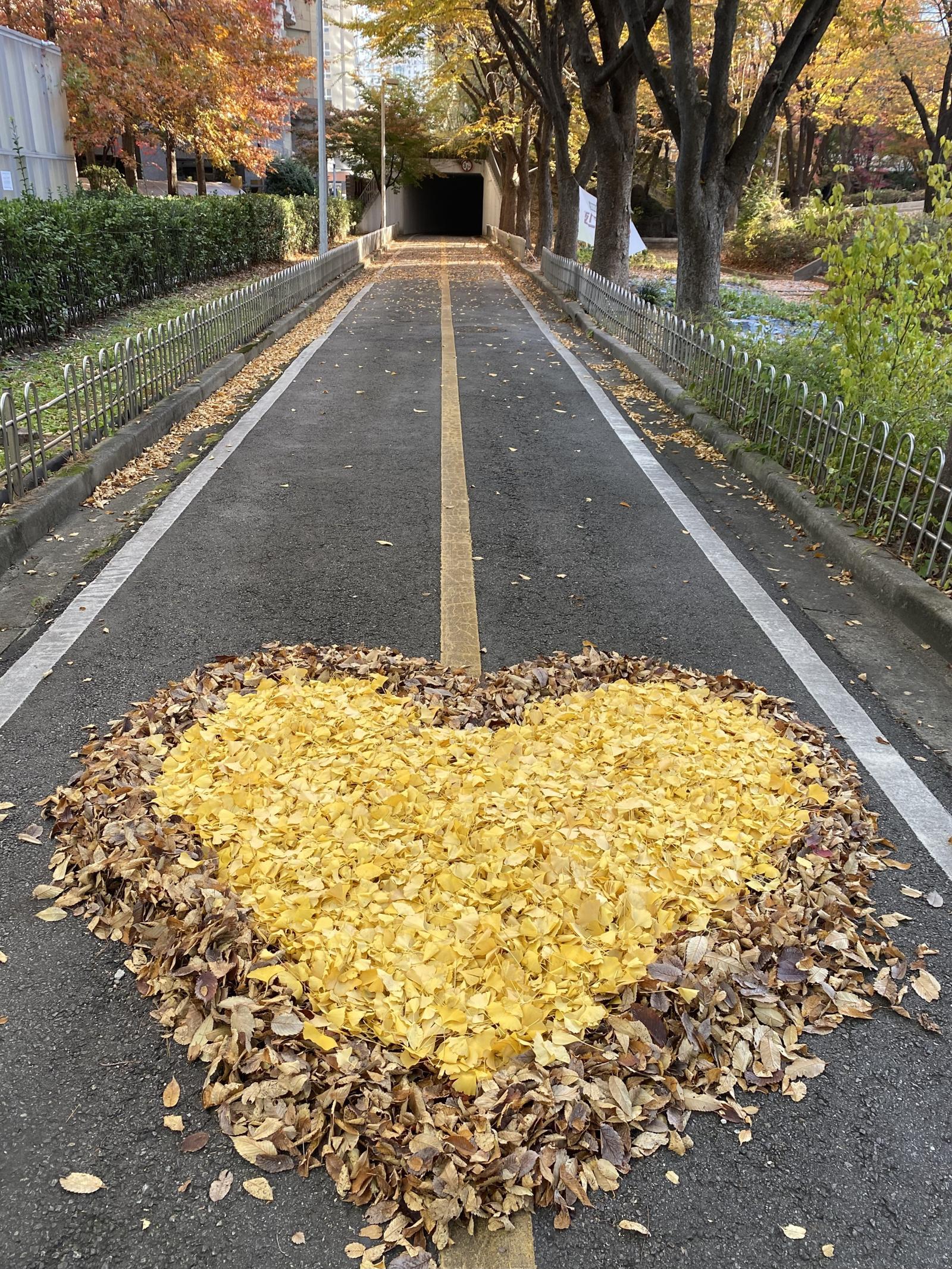 길 위에 놓인 사랑[고양이 눈]