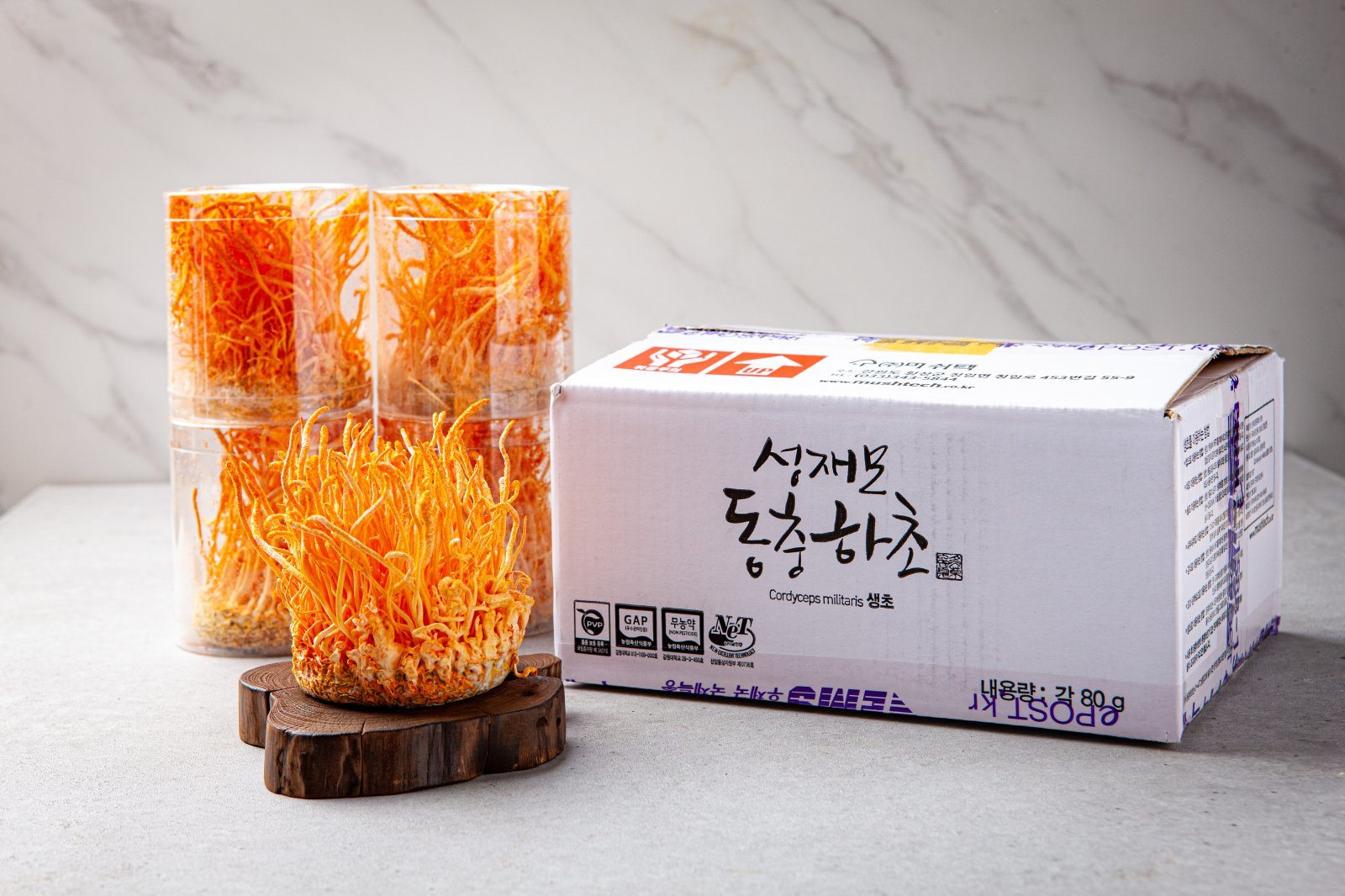 성재모동충하초 생초. 머쉬텍 제공