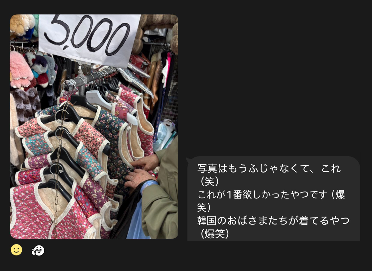 한 SNS 이용자가 공개한 일본인 친구와의 대화. 일본인 친구는 “제일 갖고 싶었던 것은 이거(김장조끼)였다” “한국 아주머니들이 입는 그 옷”이라며 김장조끼를 구매하는 사진을 공유했다. X @dinnerout11 갈무리