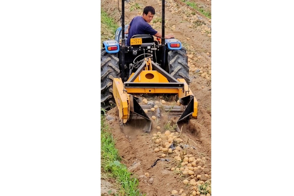 감자 수확 현장에서 별도 멀칭필름 제거 작업 없이 트랙터로 원활히 수확하는 모습 / 출처=올바른사람들