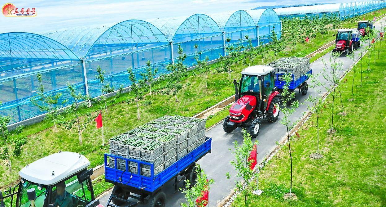 북한 노동신문이 사철 채소를 생산해 도내 인민에게 공급한다며 지난해 7월 소개한 함남 연포온실농장 모습. 노동신문 뉴스1
