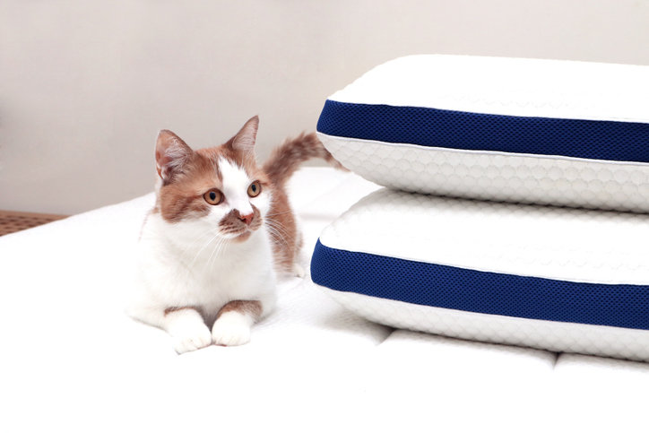 사진=게티이미지뱅크.