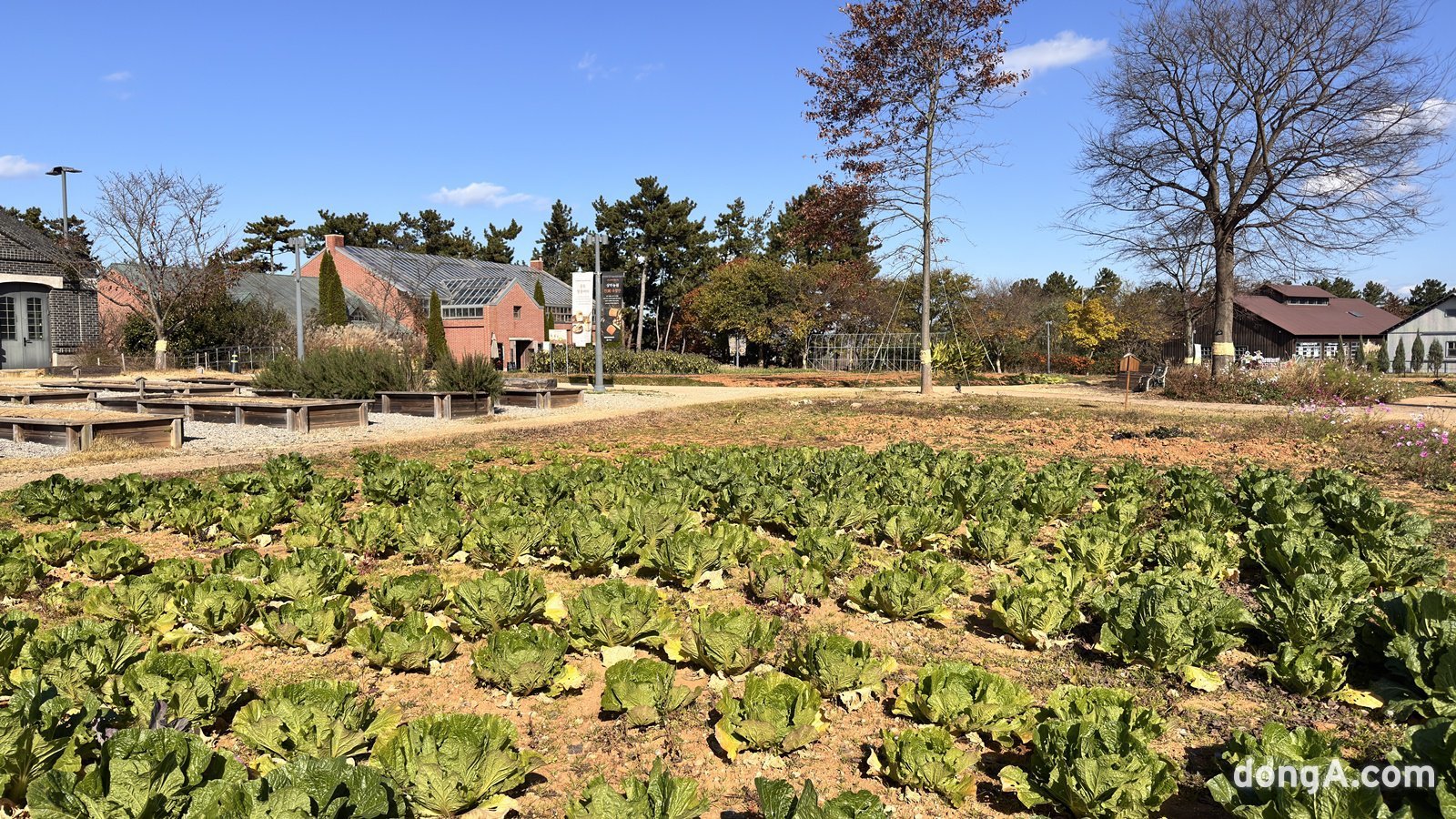 상하농원은 ‘짓다, 놀다, 먹다’를 테마로 하는 6차(1차+2차+3차) 산업형 테마공원이다. 6차 산업은 1차 산업(농축수산업)을 기반으로 2차 산업(가공, 판매)과 3차 산업(관광, 유통, 웨딩) 융합해 부가가치를 더하는 모델이며, 농촌 소멸의 해결책으로 꼽히기도 한다. 윤우열 기자 cloudancer@donga.com