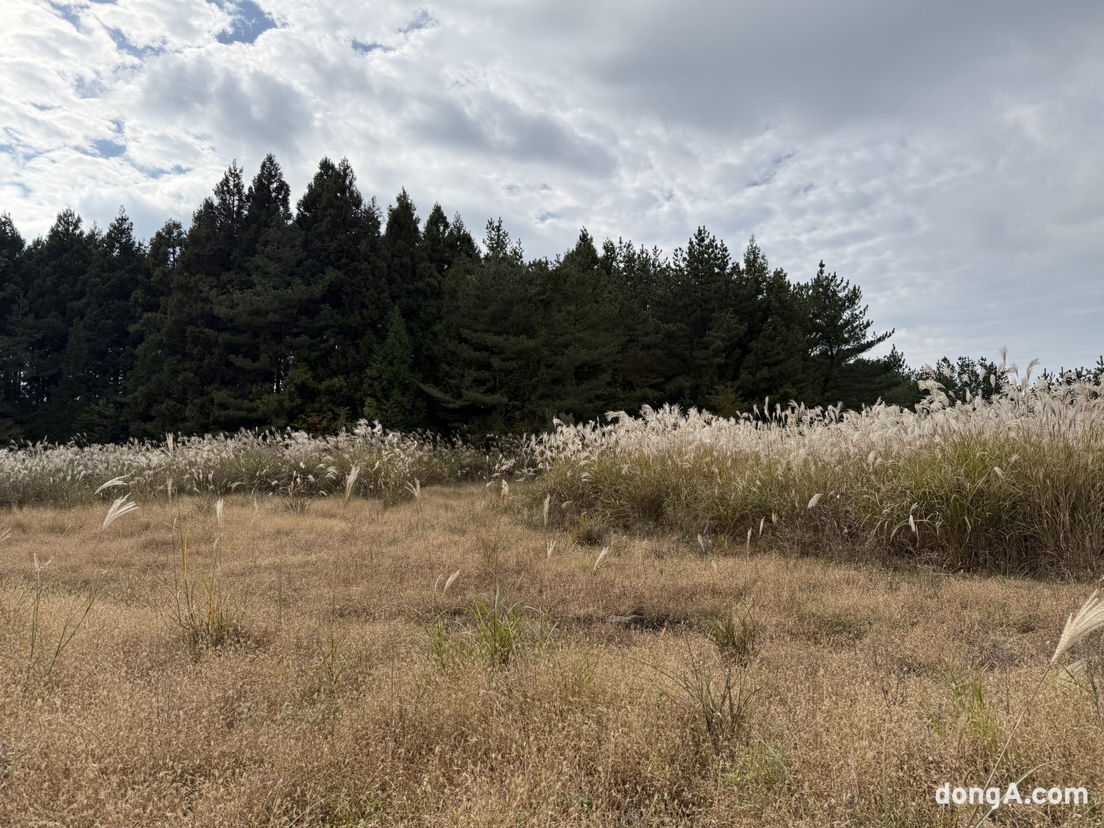 제주 삼다수 취수원 주변 자연.