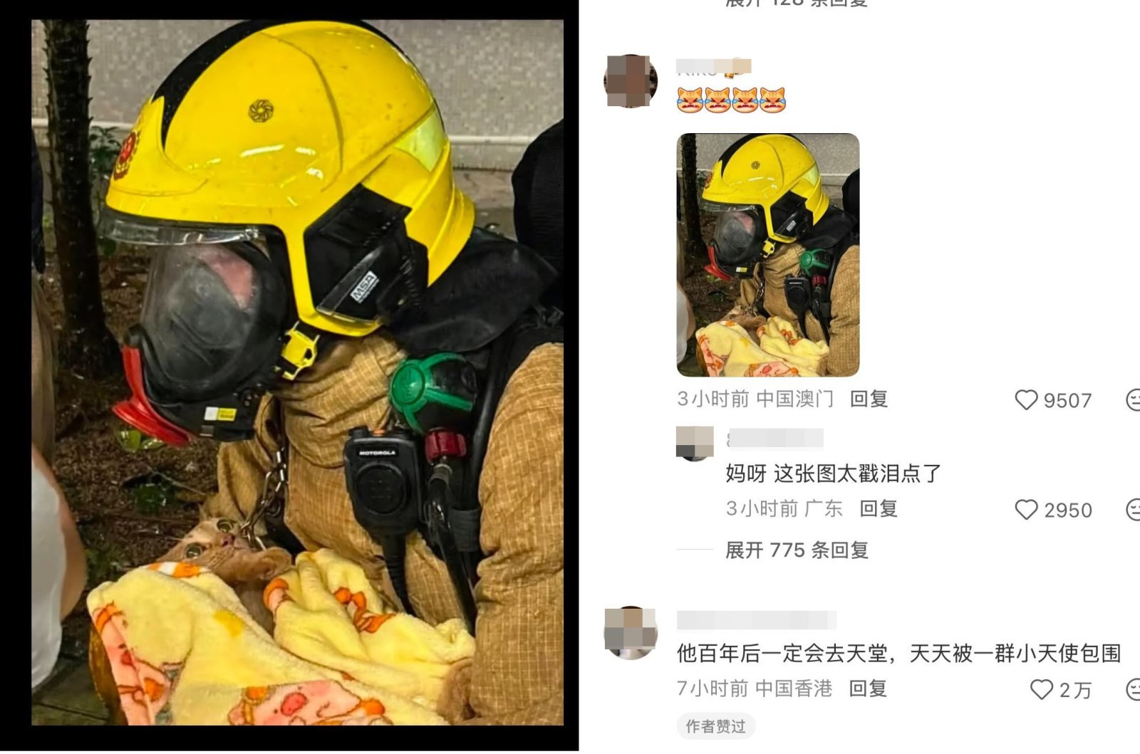 홍콩 화재 현장에서 반려동물을 품에 안은 소방관의 모습. 해당 사진은 현지 SNS에 공유되며 감사와 응원의 댓글이 이어졌다. SNS 갈무리