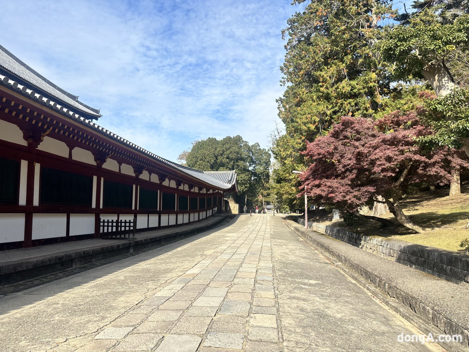 나라 도다이사. 황소영 기자 fangso@donga.com