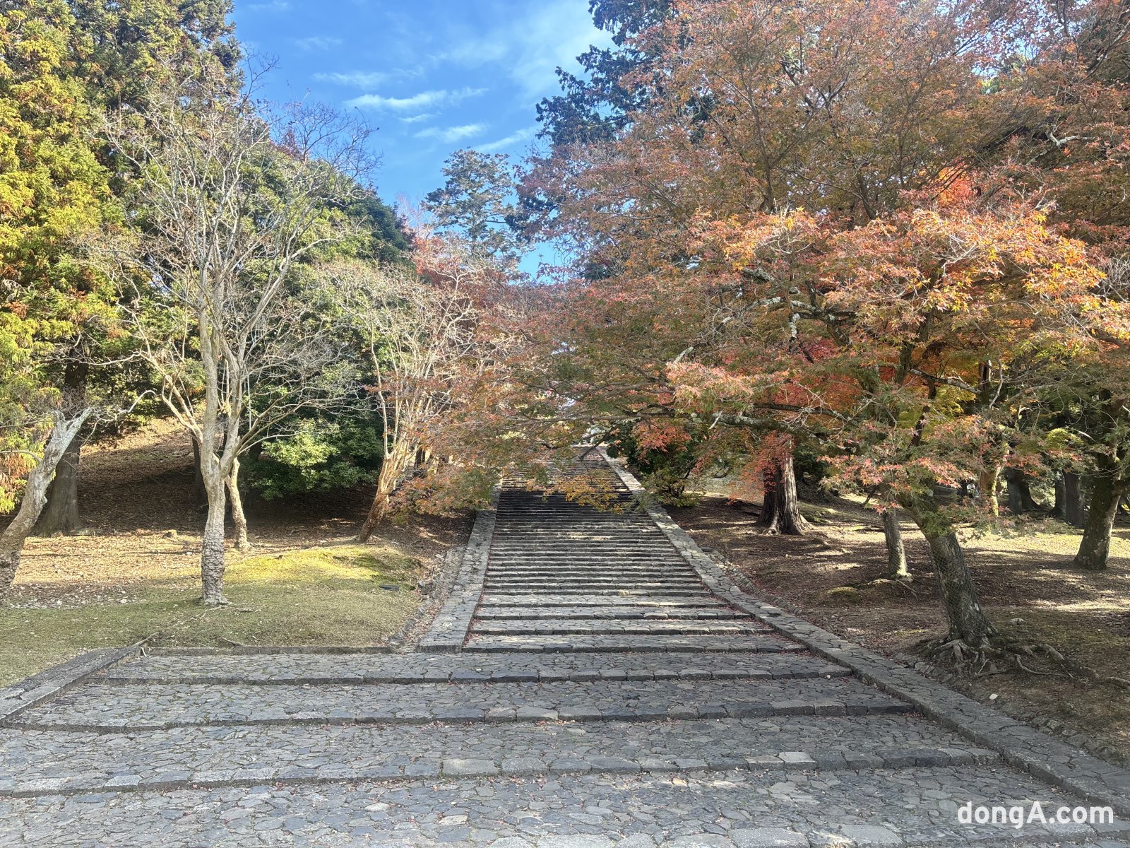 나라 도다이사. 황소영 기자 fangso@donga.com