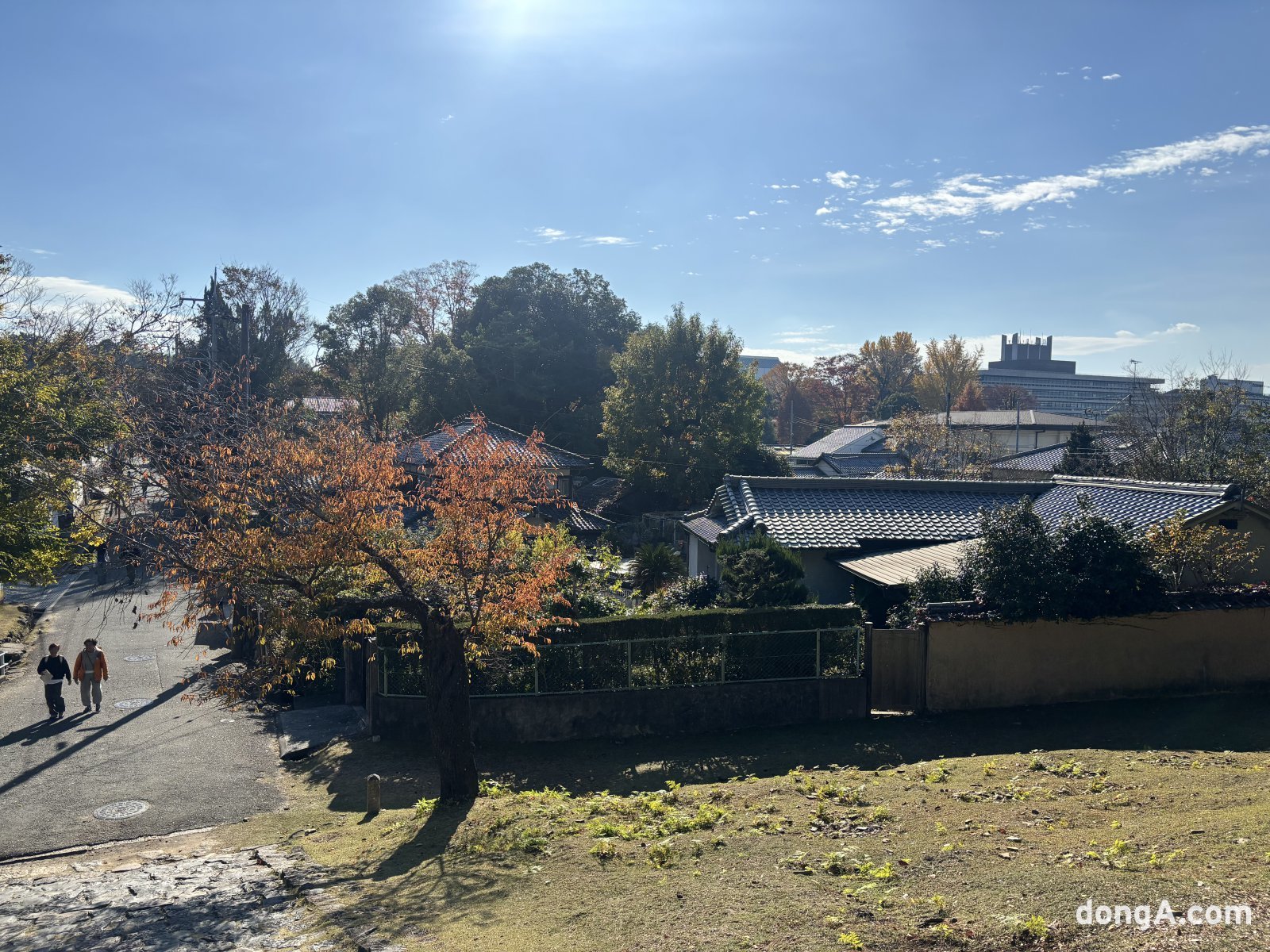 나라 도다이사. 황소영 기자 fangso@donga.com